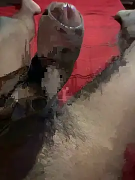 Snapshot of vijay20k chatting on March 2026 08:15:02 PM vijay20k online show from March 2026 08:15:02 PM