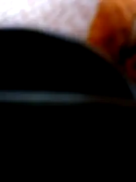 Pinos8700 online show from November 2025 03:58:02 PM