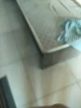 Snapshot of Telugus chatting on November 2025 07:08:02 AM Telugus online show from November 2025 07:08:02 AM