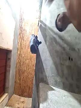 sanz957 online show from November 2025 03:49:02 AM