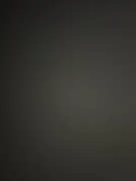 WildNour online show from November 2025 04:36:01 PM