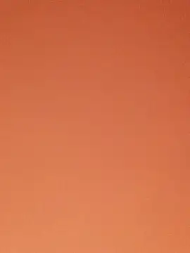 SiennaBite online show from November 2025 12:44:02 AM