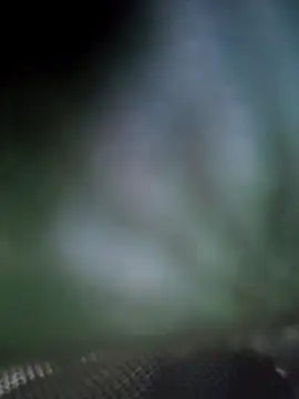 Georgette466 online show from April 2026 02:10:01 PM