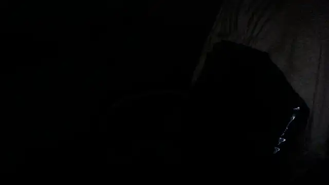 gygyfox online show from November 2025 10:52:02 PM