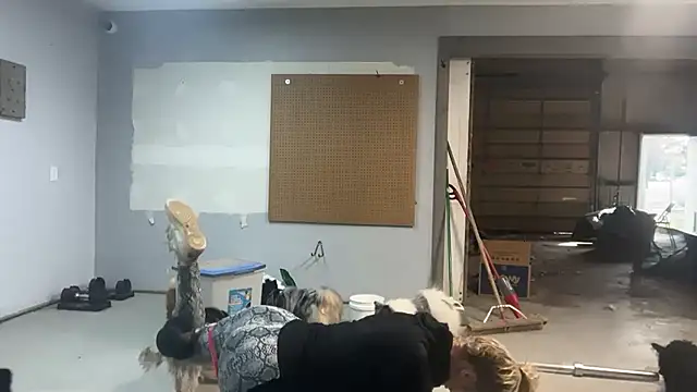 Snapshot of lanasharapovaxxx chatting on February 2026 09:02:01 PM lanasharapovaxxx online show from February 2026 09:02:01 PM