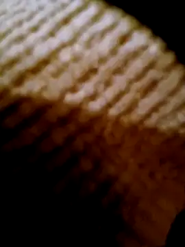 Snapshot of pino870 chatting on February 2026 04:24:02 PM pino870 online show from February 2026 04:24:02 PM