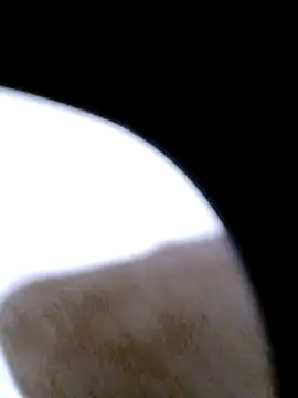 Snapshot of pino870 chatting on February 2026 12:29:01 AM pino870 online show from February 2026 12:29:01 AM