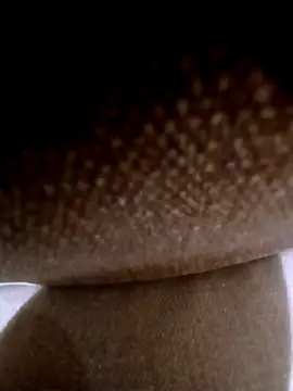 Snapshot of pino870 chatting on March 2026 11:54:02 PM pino870 online show from March 2026 11:54:02 PM