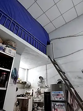 Liveryta online show from November 2025 11:57:02 AM