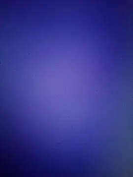 Pallu Asha online show from March 2026 01:15:01 PM