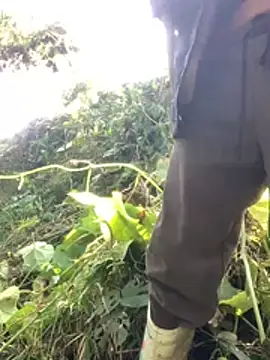 bi-bo123 online show from January 2026 03:12:02 AM