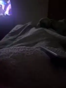 gatitaamelosaa7 online show from February 2026 02:53:02 AM