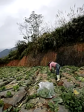 min nyny online show from November 2025 01:26:01 AM