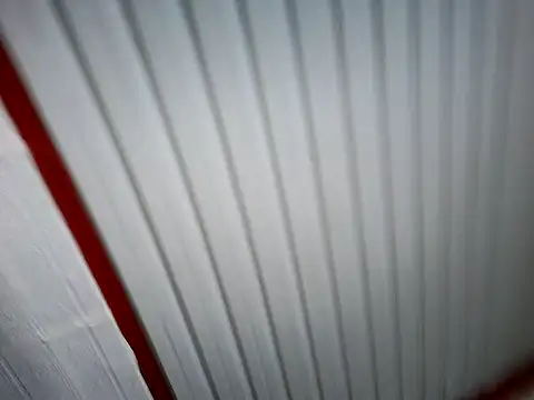 xwildflowerx online show from March 2026 09:21:02 PM