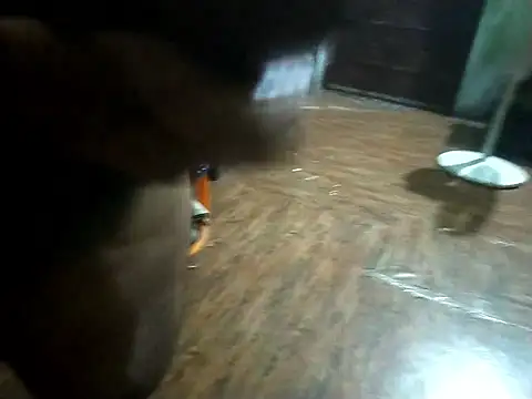 Snapshot of BdTinyDick chatting on November 2025 06:19:02 PM BdTinyDick online show from November 2025 06:19:02 PM