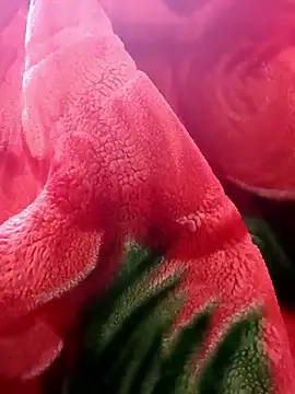 tamal2511 online show from January 2026 03:04:02 PM