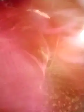 Jooli cuty online show from March 2026 02:28:01 AM