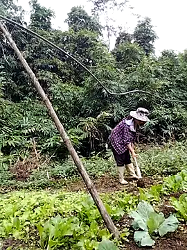 be-yeu online show from November 2025 02:22:02 AM