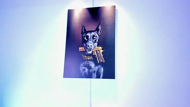 stiven 24cm online show from November 2025 08:44:01 AM