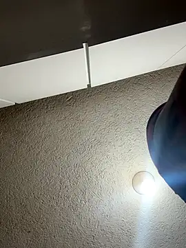 RaySullivan online show from November 2025 08:19:01 PM