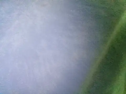 Ramzes1992Analog online show from November 2025 01:05:01 AM