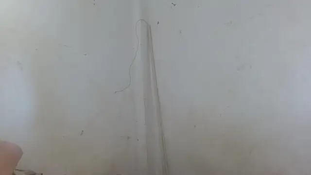 the breasts of desir  online show from November 2025 01:55:01 PM