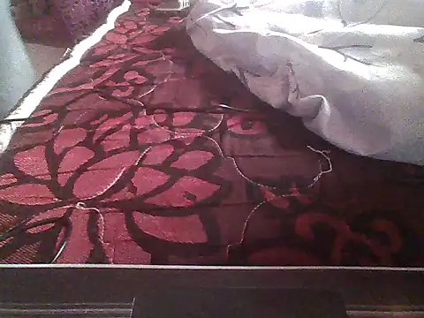 sexassft online show from November 2025 12:05:02 PM