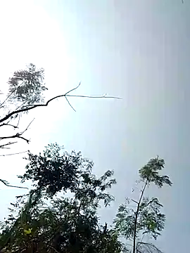 Anjali bady online show from November 2025 05:50:02 AM