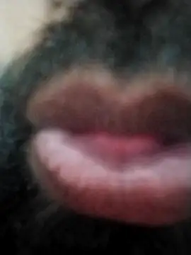 hyderabad single online show from November 2025 12:38:01 PM