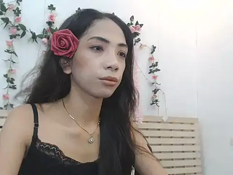 Ms sugar online show from November 2025 10:30:01 PM