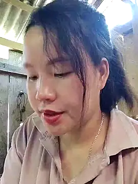 yelow-bee online show from November 2025 04:00:01 AM