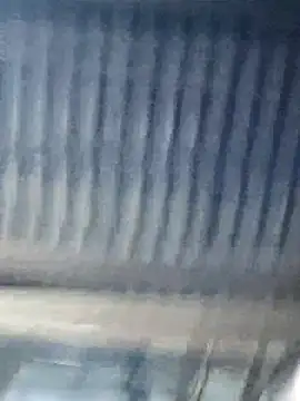 yelow-bee online show from November 2025 01:37:02 PM