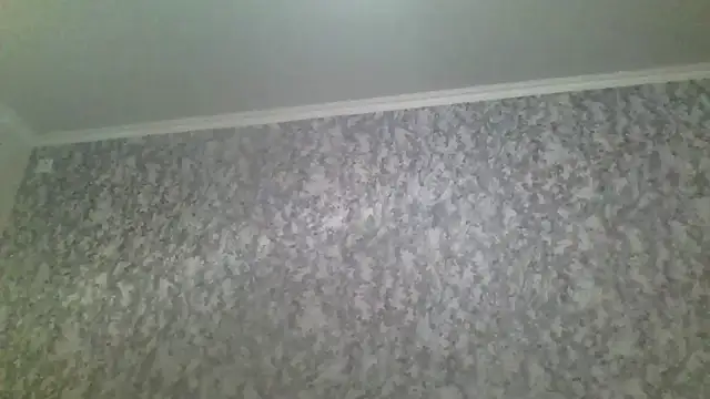 antosha555 online show from November 2025 06:05:02 AM