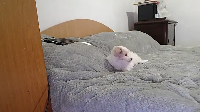 Snapshot of MissyDior8 chatting on February 2026 09:59:01 AM MissyDior8 online show from February 2026 09:59:01 AM