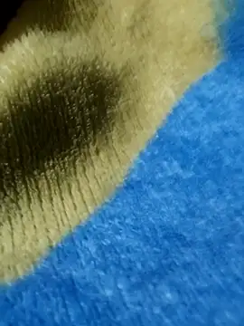 GG23MVP online show from November 2025 05:22:02 AM