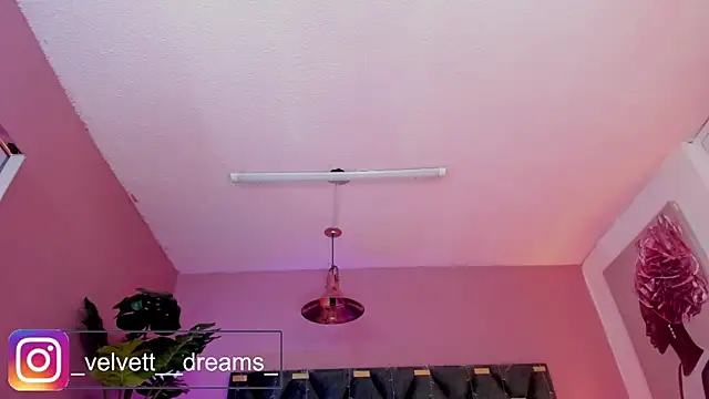 Velvet Dreamss online show from May 2026 11:51:02 AM