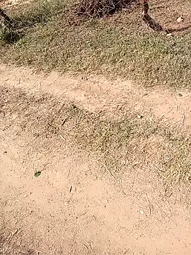 Neetujk online show from November 2025 05:02:01 AM