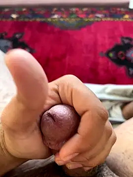 harun31ci online show from November 2025 12:15:02 PM