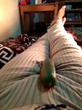 Tota sexi online show from November 2025 10:51:02 AM