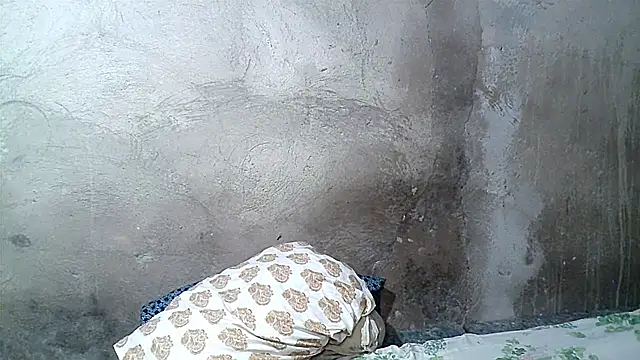 Snapshot of xwindyxxx chatting on February 2026 06:42:02 AM xwindyxxx online show from February 2026 06:42:02 AM