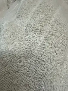 Hotrupali 19 online show from February 2026 12:14:02 AM