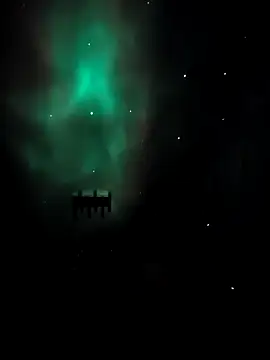 arcacsel online show from November 2025 10:53:02 PM