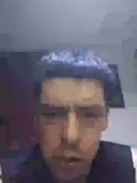 Junior 47 online show from November 2025 08:00:02 AM