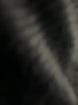 kangro 80 online show from December 2025 11:26:02 AM