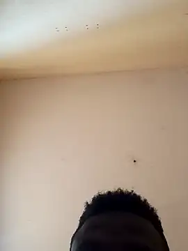 a Aleja online show from November 2025 07:46:02 PM