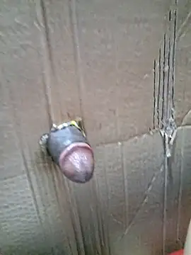 Snapshot of mnbvcxzqwertyuiop1235 chatting on March 2026 11:52:02 PM mnbvcxzqwertyuiop1235 online show from March 2026 11:52:02 PM