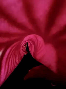 DesiAnita3693 online show from November 2025 03:38:01 AM