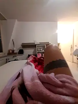 mi vitor online show from November 2025 12:33:01 AM