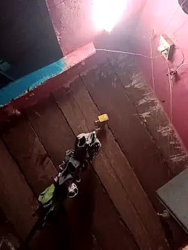 Sexy bigg online show from November 2025 07:24:02 PM