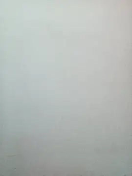 Reema 143 online show from February 2026 03:11:01 PM